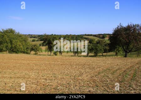 Blick auf das Heckengaeu bei Weissach mit seinen Feldern, Wiesen und Obstgärten im Herbst Stockfoto