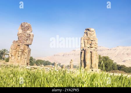 Tempel Der Hatchepsut. Die Gräber der Adligen, die sich an den Klippen des Westjordanlands befinden, waren einst die Gouverneure der Insel Elephantine. Ägypten Stockfoto