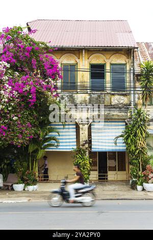 Altes französisches Kolonialhaus in kampot kambodscha Stockfoto