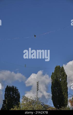 Deutschland, Berlin, 29.09.2024, Sonntagabend im Mauerpark, Seilakrobaten, Flutlichtmasten Kantian Stadion, Europa Stockfoto