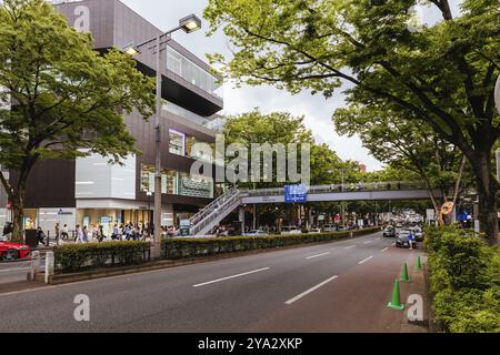 TOKIO, JAPAN, 19. MAI 2019, Main Avenue durch Harajuku und Omotesando in der Nähe der Cat Street im Zentrum von Tokio, Japan, Asien Stockfoto