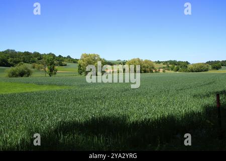 Blick auf das Heckengaeu bei Weissach mit seinen Feldern, Wiesen und Obstgärten Stockfoto