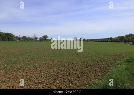 Blick über ein Feld im Heckengaeu bei Weissach Stockfoto