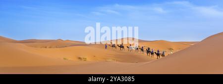 Merzouga in der Sahara in Marokko. Afica. Webbanner in Panoramaansicht Stockfoto