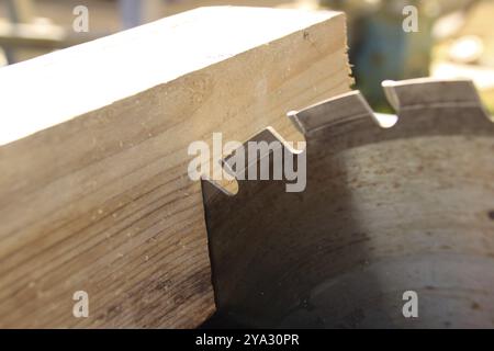 Ein Stück Holz liegt am Sägeblatt einer Kreissäge Stockfoto