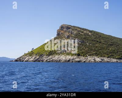 Bewaldete Küste, Halbinsel Peljesac, Dalmatien, Kroatien, Europa Stockfoto