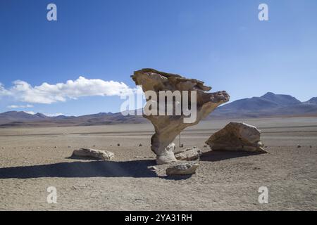 Berühmte Steinformation Arbol de Piedra in Bolivien altiplano Stockfoto