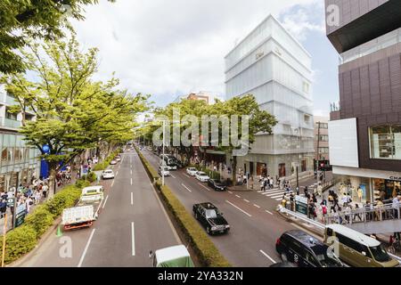 TOKIO, JAPAN, 19. MAI 2019, Main Avenue durch Harajuku und Omotesando in der Nähe der Cat Street im Zentrum von Tokio, Japan, Asien Stockfoto