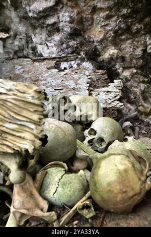 Schädel der Verstorbenen an einer traditionellen Grabstätte im Dorf Kete Kesu, Nord-Toraja, Süd-Sulawesi, Indonesien. Stockfoto