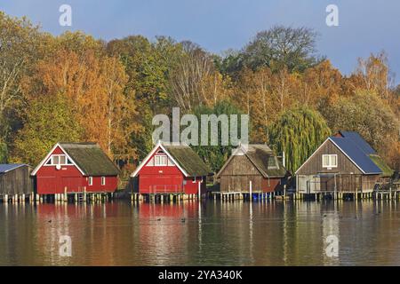 Bootshäuser auf der Müritz bei Roebel in Mecklenburg-Vorpommern. Mit Reflexion im Wasser und mit Bäumen im Herbstlaub. Bootshäuser aus Holz in La Stockfoto