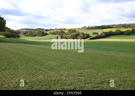 Blick auf das Heckengaeu bei Weissach mit seinen Feldern, Wiesen und Obstgärten im Herbst Stockfoto