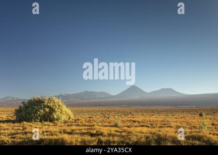 Atacama-Wüste, Chile, Anden, Südamerika. Wunderschöne Aussicht und Landschaft, Südamerika Stockfoto