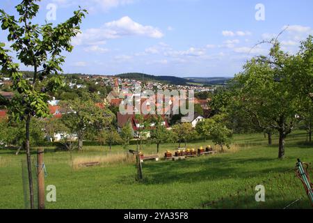 Bienenstöcke vor dem Dorf Simmozheim bei Calw Stockfoto