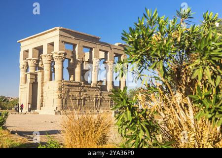 Philae-Tempel in assuan am Nil in Ägypten Stockfoto