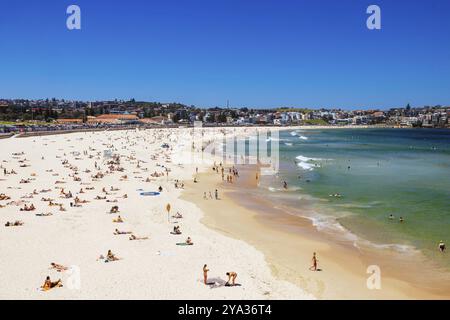 SYDNEY, AUSTRALIEN, 05. DEZEMBER 2023: Allgemeiner Blick auf den Strand in Richtung Bondi Beach an einem warmen Sommertag in Sydney, New South Wales, Australien, Ozeanien Stockfoto