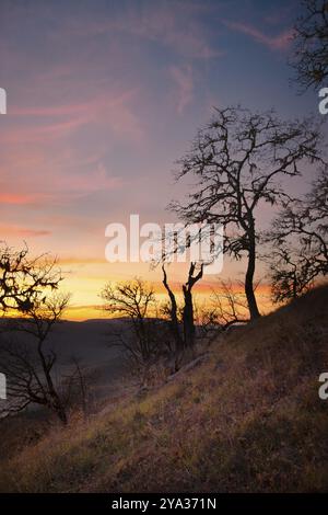 Farbbild eines wunderschönen Sonnenuntergangs mit Blick auf die bald Hills in Nordkalifornien Stockfoto