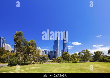 SYDNEY, AUSTRALIEN, 3. DEZEMBER 2023: Barangaroo Reserve Area und Stargazer Lawn in Sydney, New South Wales, Australien, Ozeanien Stockfoto