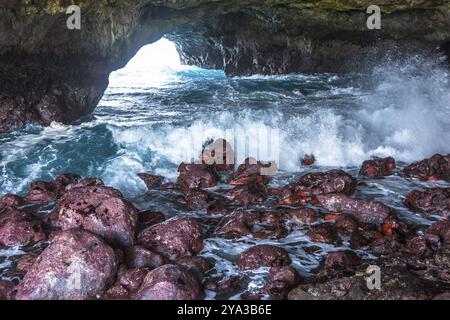 Fernando de Noronha, Brasilien, Südamerika Stockfoto