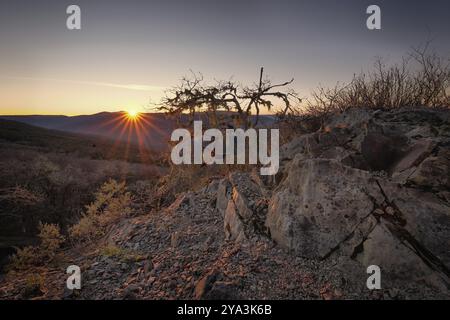 Farbbild eines wunderschönen Sonnenuntergangs mit Blick auf die bald Hills in Nordkalifornien Stockfoto