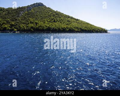 Bewaldete Küste, Halbinsel Peljesac, Dalmatien, Kroatien, Europa Stockfoto