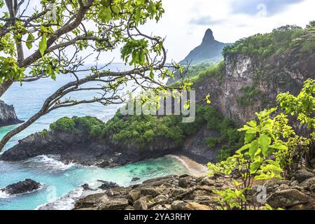 Fernando de Noronha, Brasilien, Südamerika Stockfoto