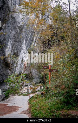 Wanderwege im Zugarramurdi-Wald. Navarra. Spanien Stockfoto