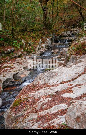 Zugarramurdi Forest. Navarra. Spanien. Stockfoto