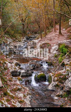 Zugarramurdi Forest. Navarra. Spanien. Stockfoto