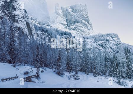 Steile, schneebedeckte Klippen und dichte Nadelwälder in den Dolomiten, Südtirol, mit einem gewundenen Pfad, der durch die Landschaft führt. Die natürliche Li Stockfoto