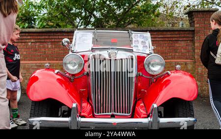 Carryduff County Down Nordirland 21. September 2024 – Vorderansicht des roten MG TD Roadsters mit zwei Spots und Chrom-Stoßfänger Stockfoto