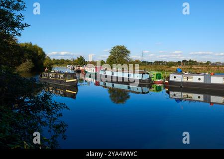 Der Fluss Lea im Herbst auf Walthamstow Marshes, London, Großbritannien, mit Hausbooten Stockfoto