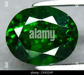 Exquisites Deep Green Oval Smaragd Edelstein Elegant Präsentiert. Stockfoto