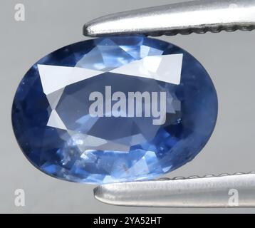 Exquisiter natürlicher Saphirstein mit ovalem Schliff in tiefblauen Tönen und brillanter Klarheit. Stockfoto