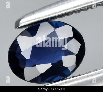 Exquisiter Edelstein aus natürlichem Saphir in tiefblauem Blau im eleganten ovalen Schliff. Stockfoto