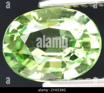 Exquisiter Natürlicher Peridot-Edelstein Mit Ovalem Schliff In Leuchtenden Grüntönen. Stockfoto