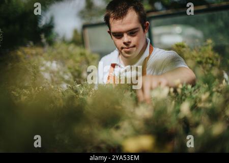 Junger Gärtner mit Down-Syndrom, der im Freien Pflanzen pflegt Stockfoto