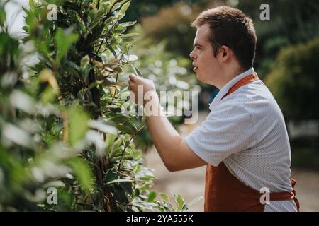 Junger Gärtner mit Down-Syndrom, der im Freien Pflanzen pflegt Stockfoto