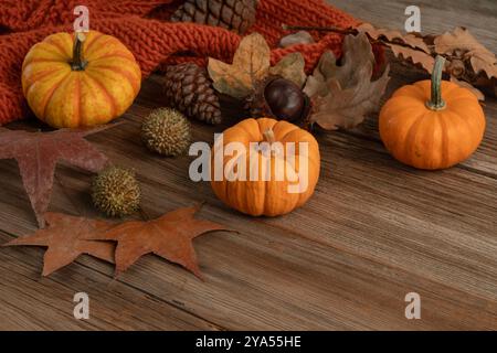 Herbst, saisonaler Hintergrund mit getrockneten Herbstblättern, Kegeln und Herbstgemüse auf Holztischoberfläche. Trockenes Obst, Herbstblatt und Kürbisse auf Holz Stockfoto