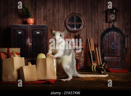 Süße, graue Ratte kam aus dem Laden mit Taschen voller Lebensmittel Stockfoto