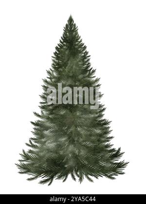 Weihnachtsbaumaquarell. Hand gezeichneter immergrüner Baum isoliert auf weißem Hintergrund. Clip-Art des Symbols Weihnachten und Neujahr. Ideal für Grußkarten Stockfoto