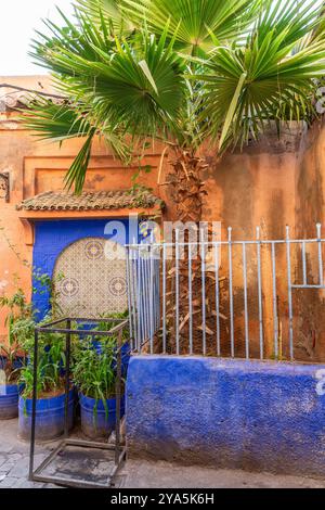 In einer Ecke der Medina von Marrakesch hebt sich diese grüne Ecke mit dunkelblauer Farbe von der rot-ockerfarbenen Umgebung ab Stockfoto