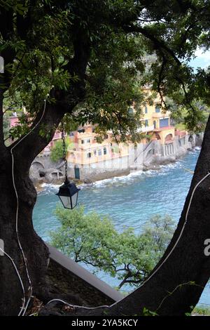Malerische Aussicht zwischen Ästen auf dem Fußweg von Portofino nach Santa Margherita de Ligure, Italien Stockfoto