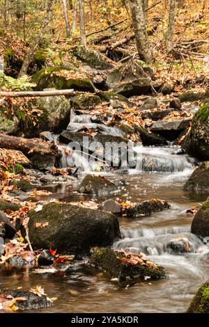 Kleiner Bach, der über Felsen und Blätter in der Nähe des Camps meines Großvaters stürzt, Vermont Stockfoto