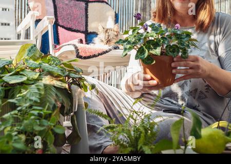 Frau kümmert sich um Pflanzen, Zimmerpflanzen, Blumentöpfe, Blumen, Wasser, Sprays, auf einer offenen Terrasse, Stockfoto