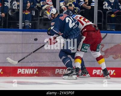 Kampf um den Puck / Zweikampf zwischen Jonathan Blum (EHC Red Bull Muenchen, #24) und Bennet Rossmy (Duesseldorfer EG, #72). GER, EHC Red Bull Muenchen gegen Duesseldorfer EG, Eishockey, DEL, 8. Spieltag, Saison 2024/2025, 11.10.2024. Foto: Eibner-Pressefoto/Heike Feiner Stockfoto