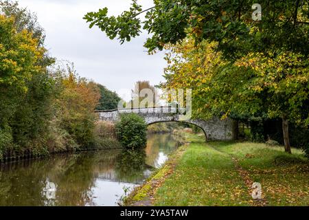 Brücke 164 über den Trent- und Mersey-Kanal in der Landschaft von Cheshire Stockfoto