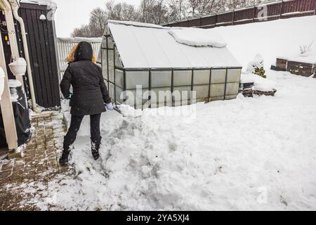 Frau in Winterkleidung schaufelt Schnee in der Nähe des Gewächshauses im verschneiten Hinterhof während des Schneefalls. Schweden. Stockfoto