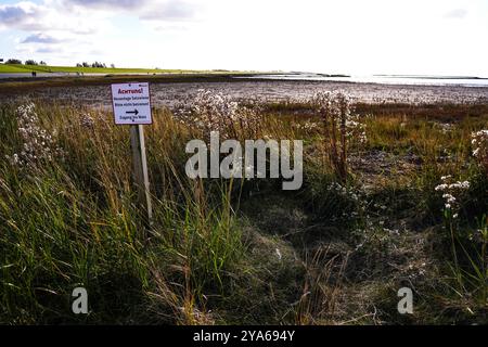 Norddeich, Ostfriesland, Deutschland. Neu geschaffene Salzwiesen. Ökologisch wertvoller Lebensraum für Tiere und Menschen. Naturschutzgebiet mit Glas Stockfoto