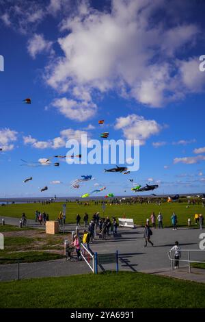 Norddeich, Ostfriesland, Deutschland. Drachenwiese in Norddeich an einem sonnigen Herbstnachmittag mit fliegenden Drachen. Oktober 2024 Stockfoto