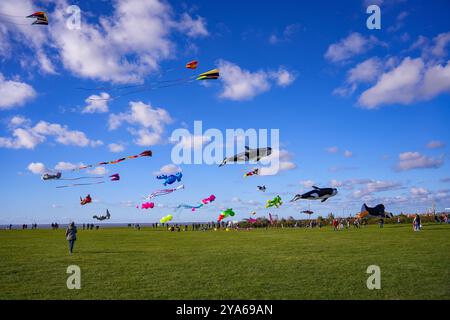 Norddeich, Ostfriesland, Deutschland. Drachenwiese in Norddeich an einem sonnigen Herbstnachmittag mit fliegenden Drachen. Oktober 2024 Stockfoto